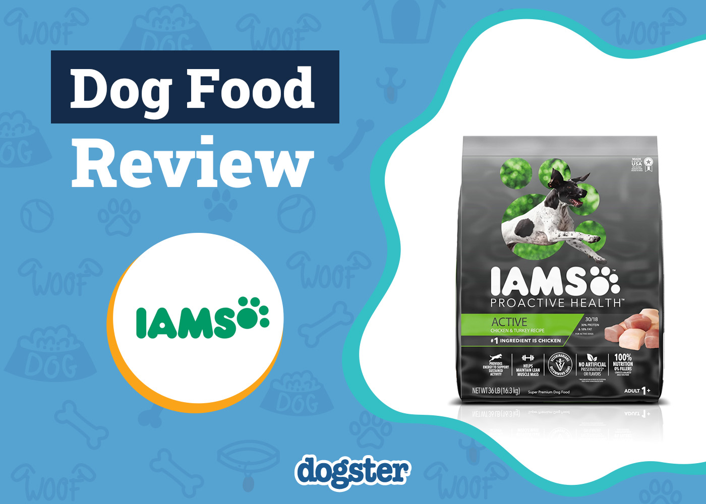 Dogster_Iams Dog Food Review