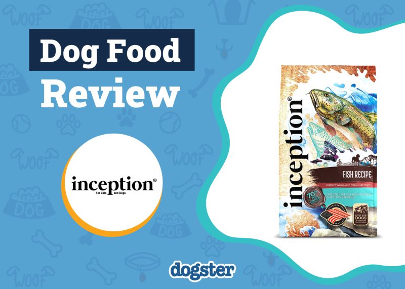 Dogster_Inception Dog Food Review