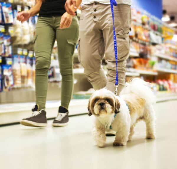 Couple With dog Shopping in Pet Store