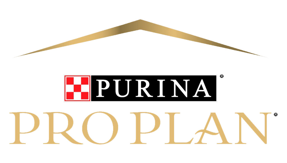 Royal Canin vs. Purina Pro Plan Dog Food 2024 Comparison, Pros & Cons