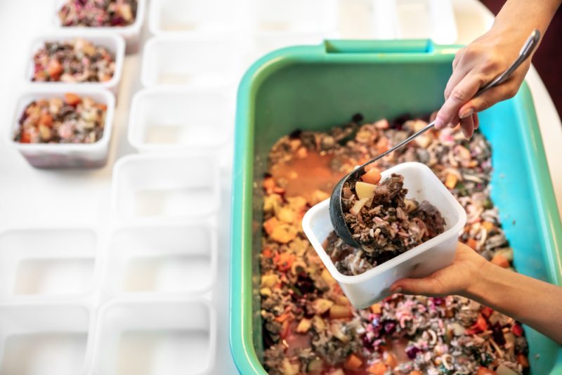 woman filling homemade fresh wet food into containers