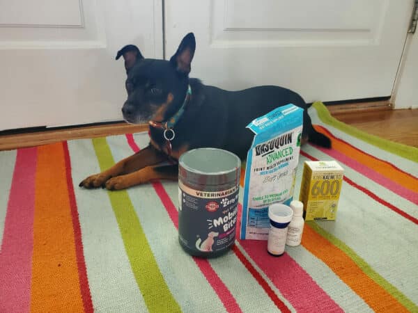 At Home Pain Medication for Dogs