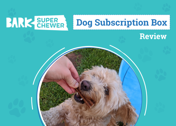 DOG_SAPR_Bark Super Chewer Dog Subscription Box