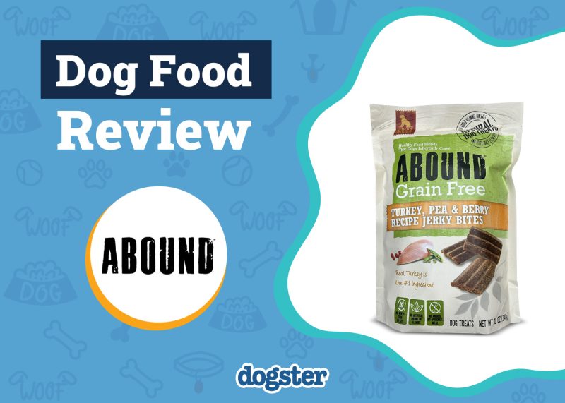 Dogster_Abound Dog Food Review