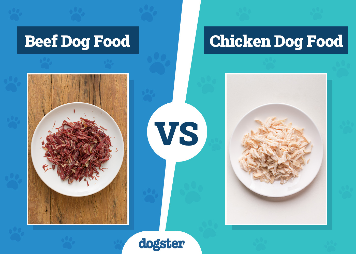 Dogster_Beef vs Chicken Dog Food