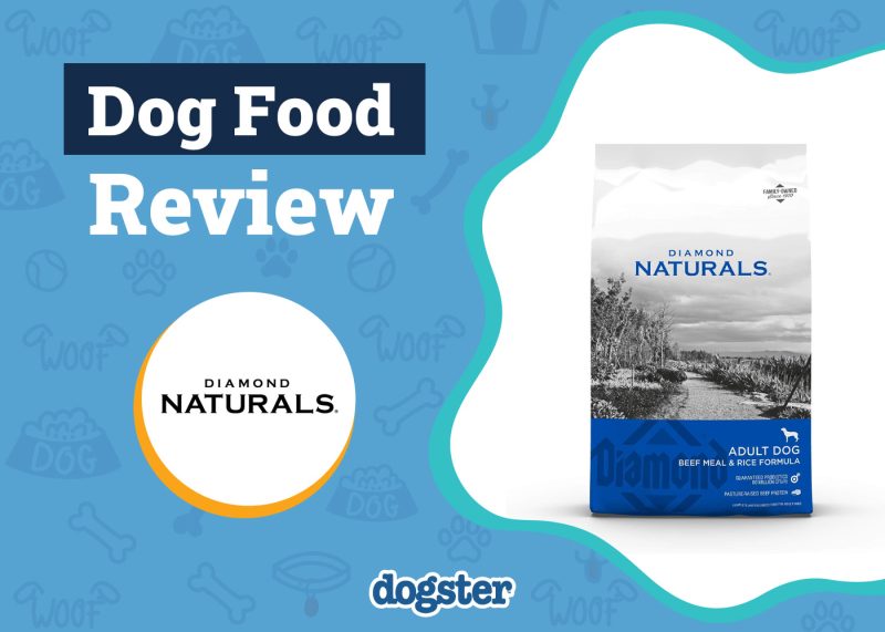 Dogster_Diamond Naturals Dog Food Review