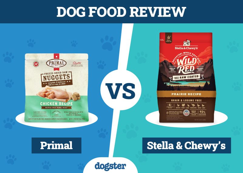 Dogster_Dog Food Primal VS Stella & Chewy