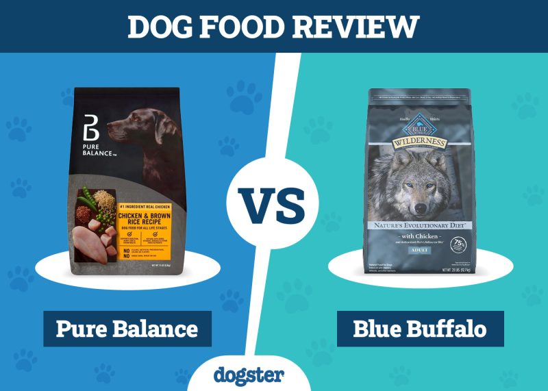 Dogster_Dog Food Pure Balance VS Blue Buffalo