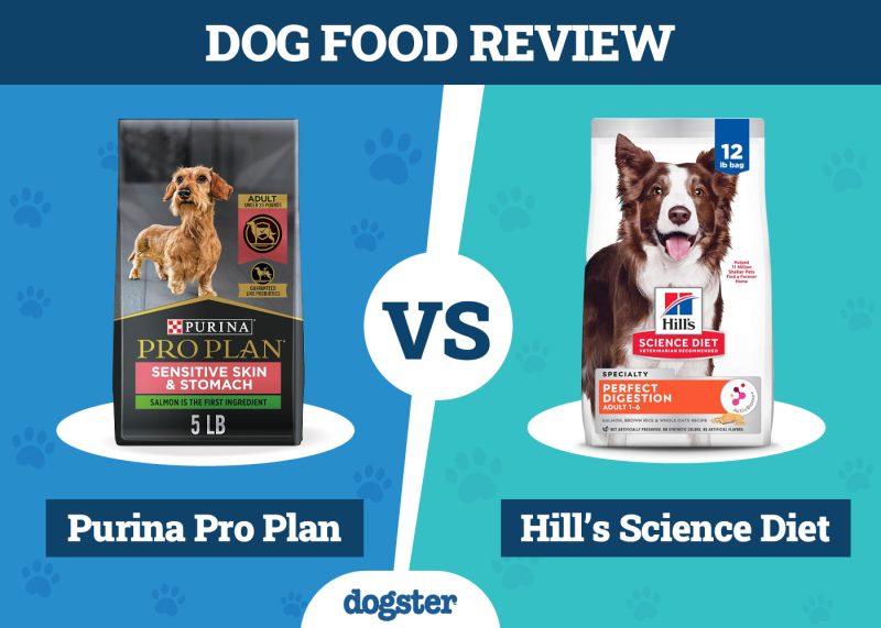 Dogster_Dog Food Purina Pro Plan VS Hill_s Science Diet