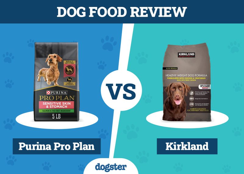 Dogster_Dog Food Purina Pro Plan VS Kirkland