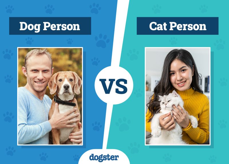 Dogster_Dog Person VS Cat Person