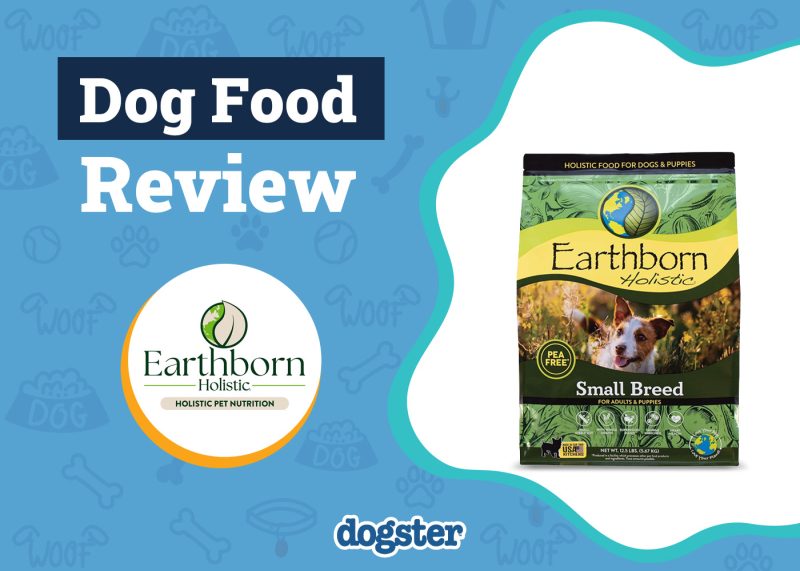 Dogster_Earthborn Holistic Dog Food Review