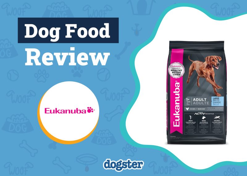 Dogster_Eukanuba Dog Food Review