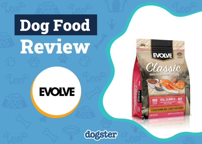 Dogster_Evolve Dog Food Review