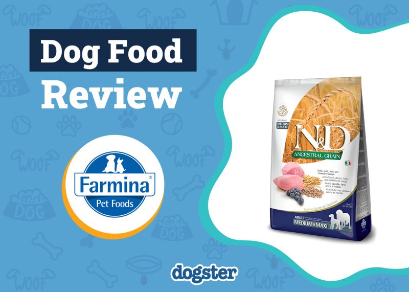 Dogster_Farmina Dog Food Review