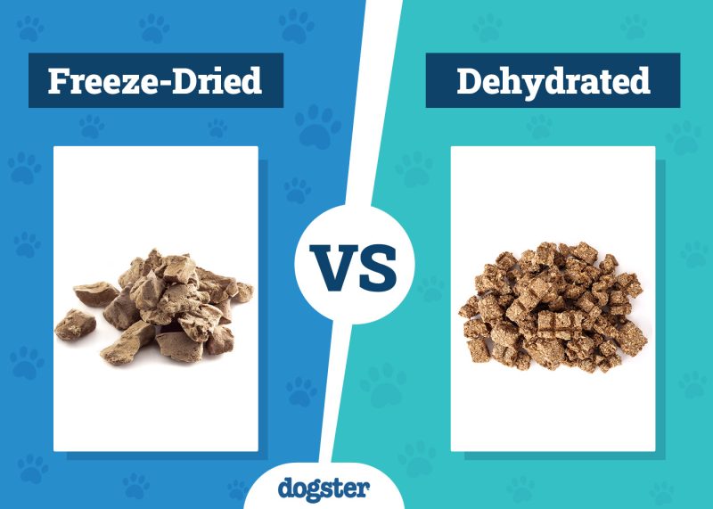 Dogster_Freeze-Dried vs. Dehydrated Dog Food