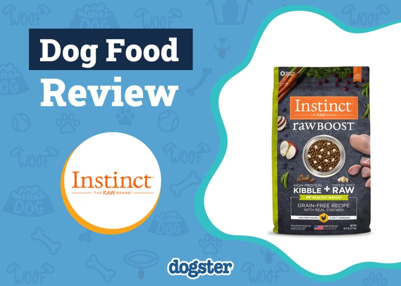 Dogster_Instinct Dog Food Review