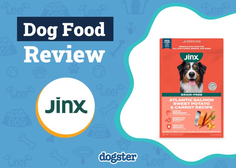 Dogster_Jinx Dog Food Review