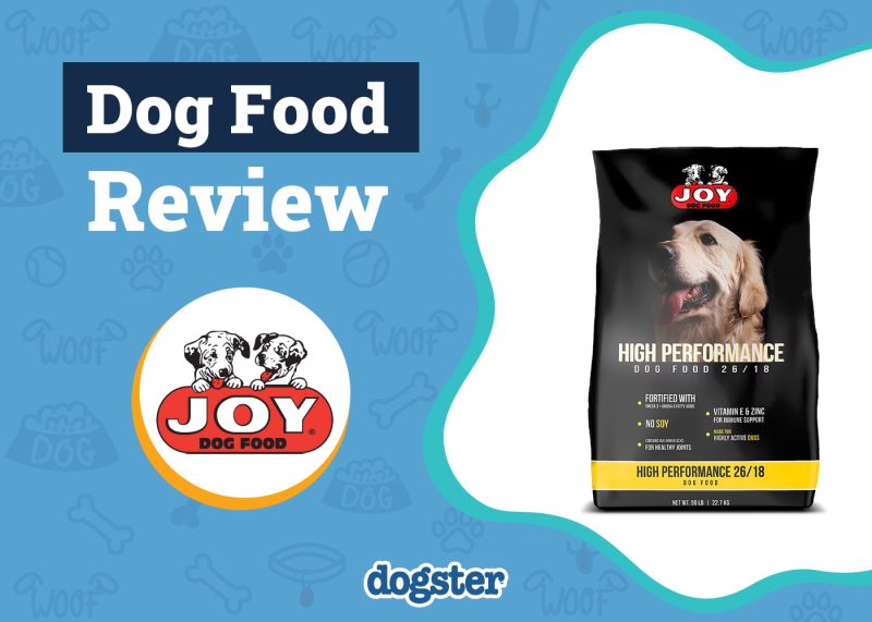 Dogster_Joy Dog Food Review