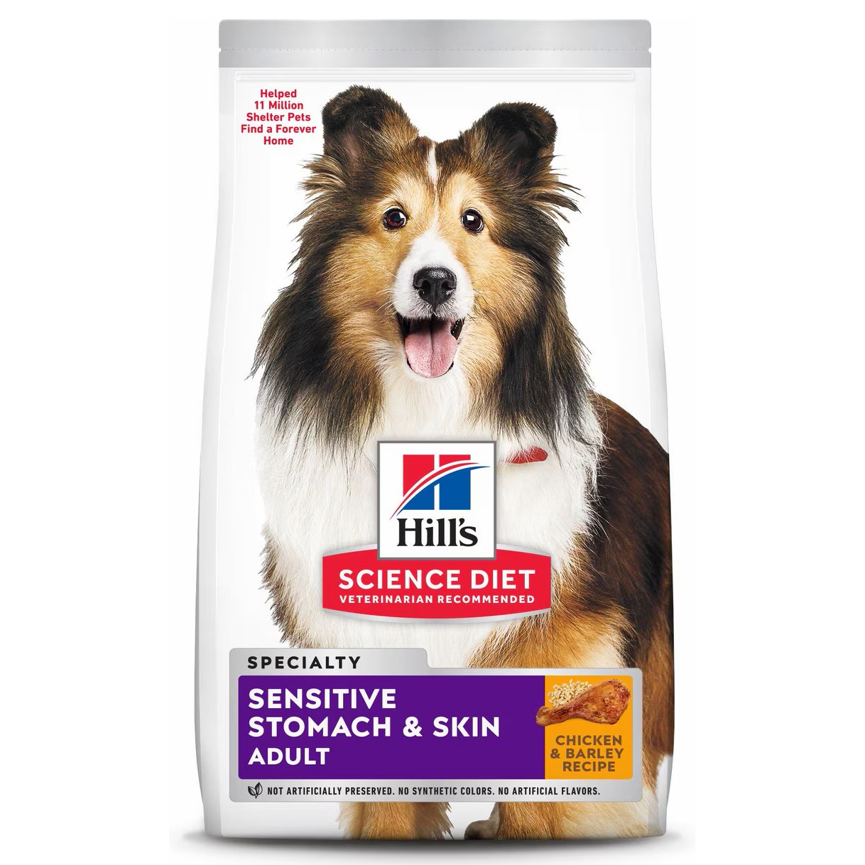 Hill’s Science Diet Adult Sensitive Stomach & Skin Dry Food