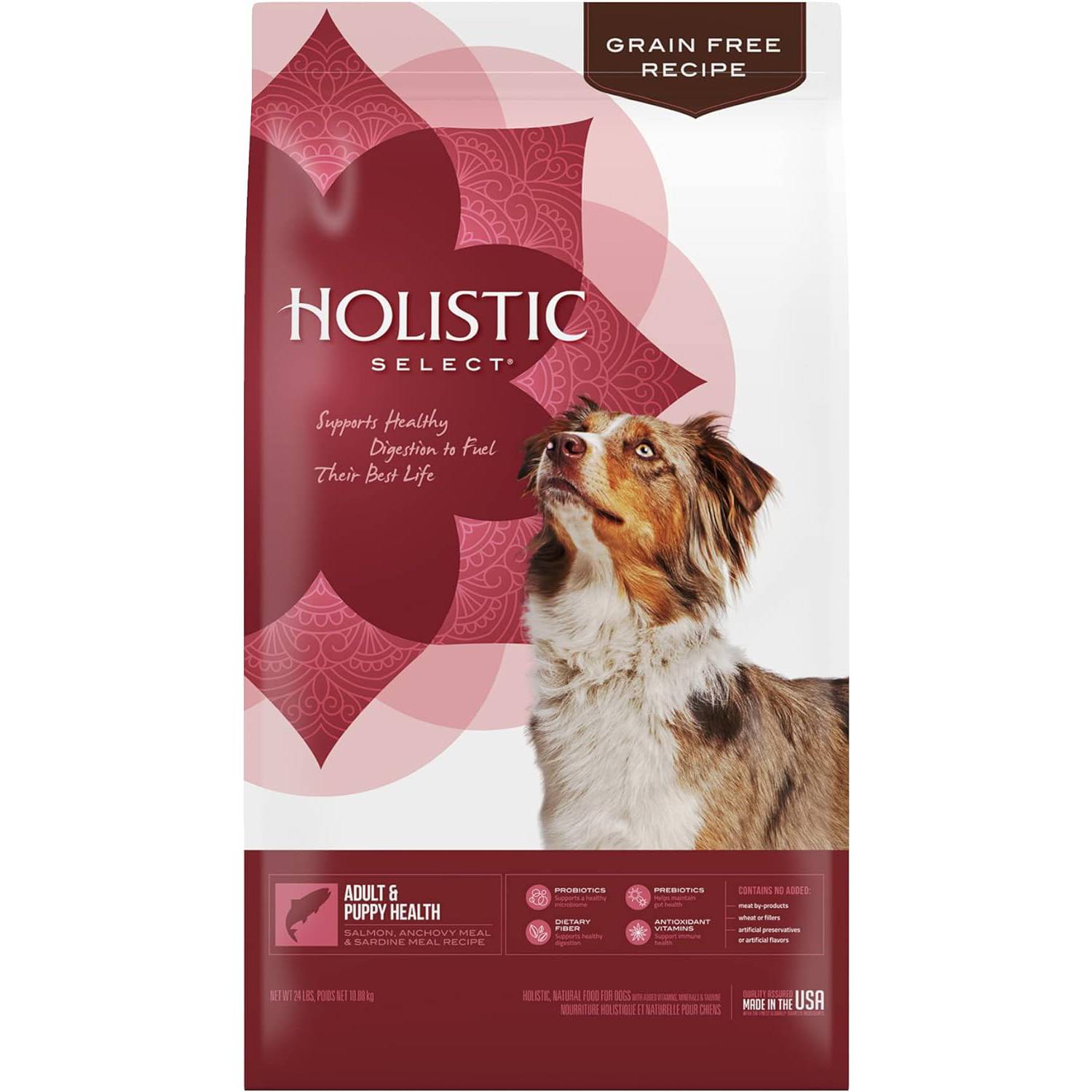 Holistic Select Adult & Puppy Grain-Free Salmon