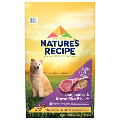 Nature's Recipe Original