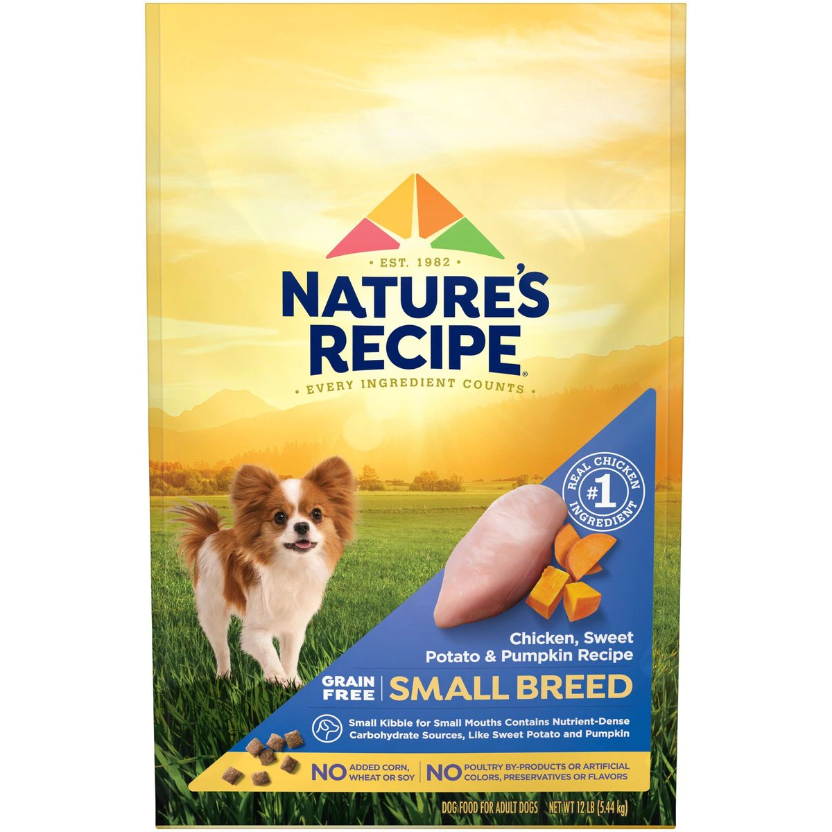 Nature's Recipe Small Breed Grain-Free Chicken, Sweet Potato & Pumpkin Recipe Dry Dog Food 