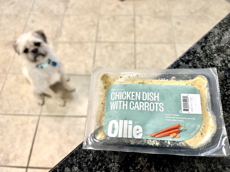 Ollie-chicken-dish-with-carrots-fresh-dog-food-on-counter-with-white-fluffy-dog-waiting