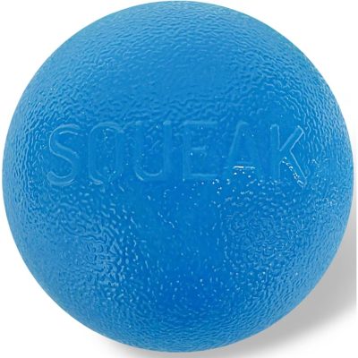 Planet Dog Orbee-Tuff Squeak Ball