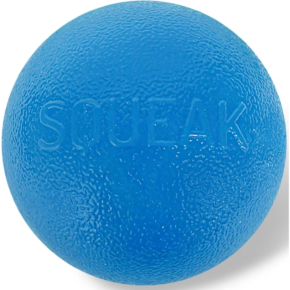 Planet Dog Orbee-Tuff Squeak Ball