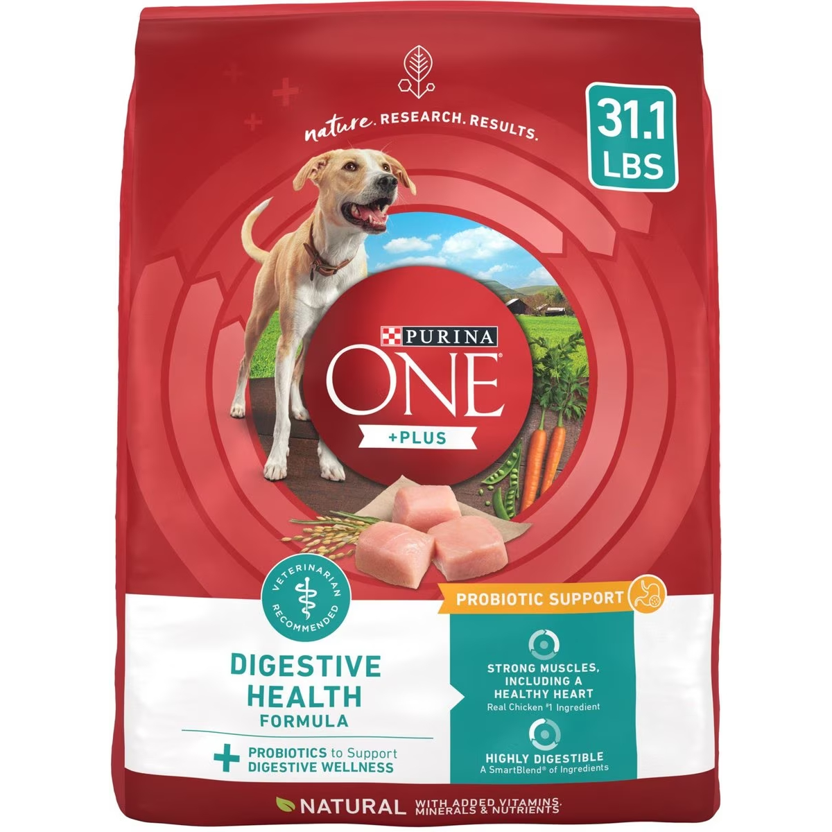 Purina ONE +Plus Adult Digestive Health Formula Dry Dog Food
