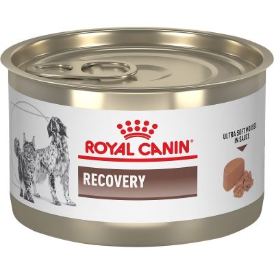 Royal Canin Vet Diet Recovery Wet Dog Food