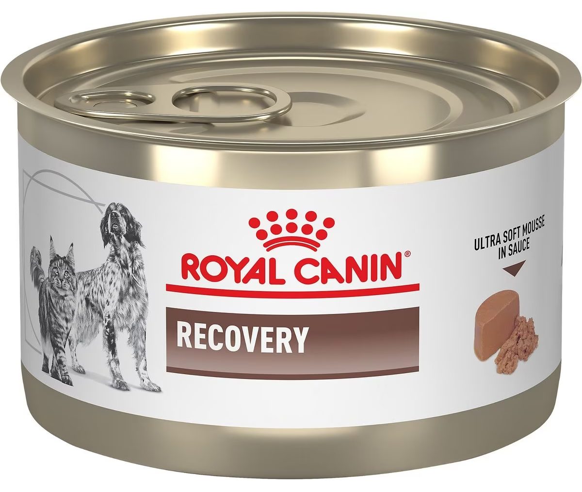 Royal Canin Vet Diet Recovery Mousse Wet Dog Food