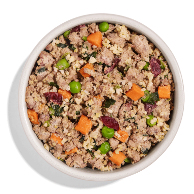 Spot & Tango Fresh Dog Food Beef & Millet