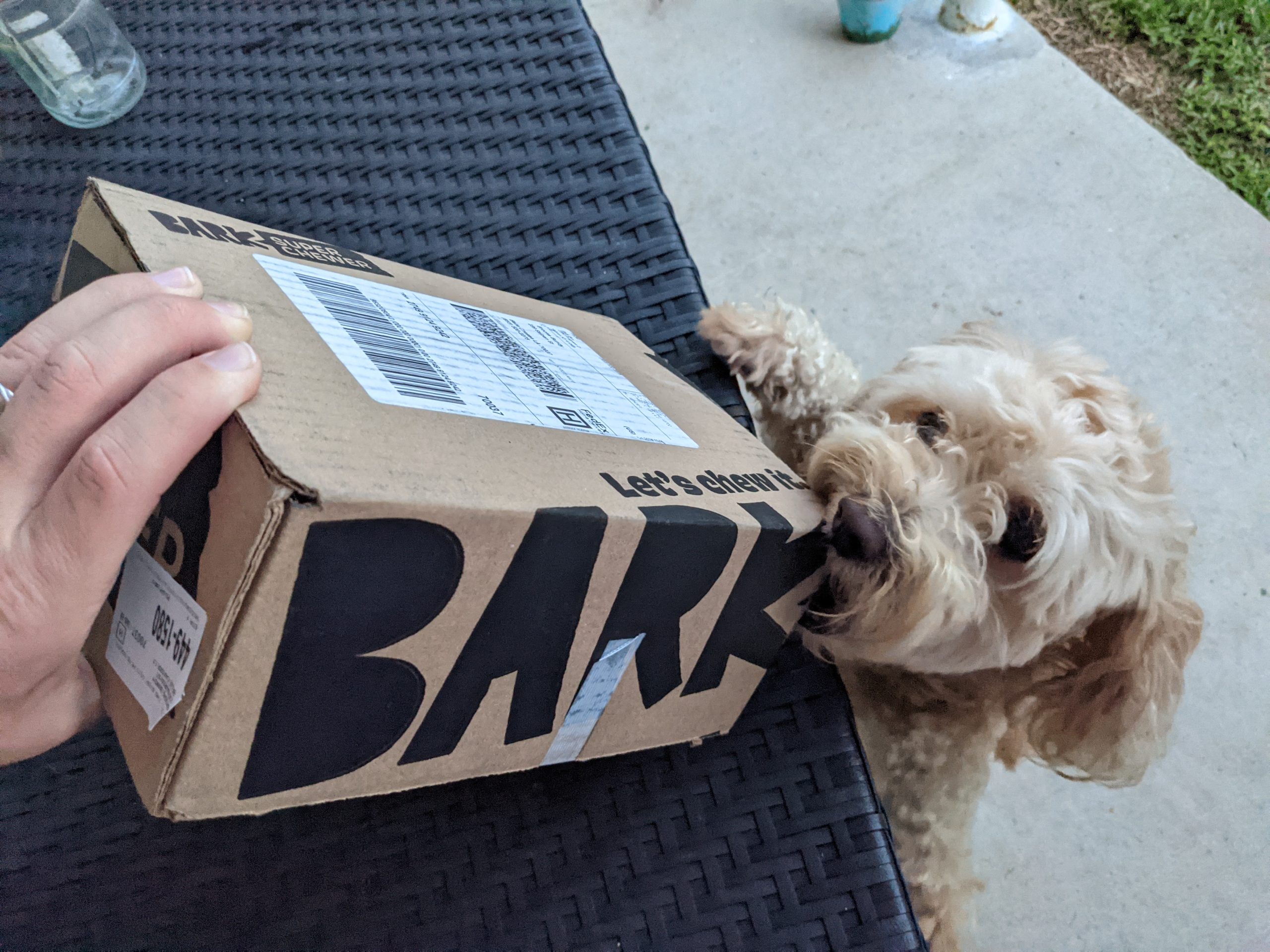Super Chewer SAPR - Dog and box
