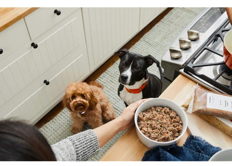 7 Best Dog Foods for Heart Murmurs in 2024 Top Picks & Reviews Dogster