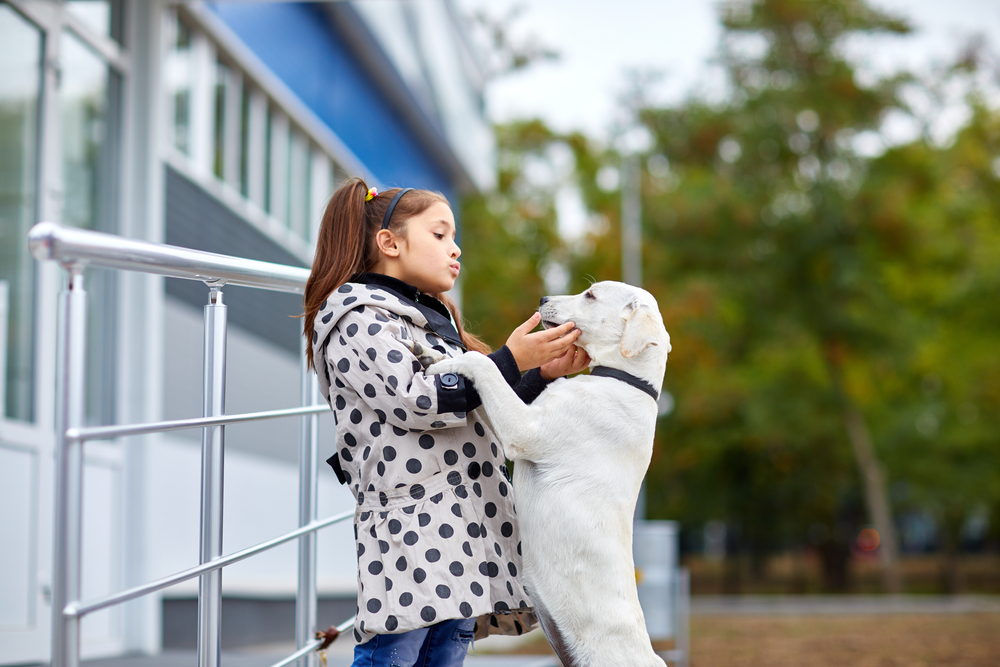 Cute dog playing with young girl