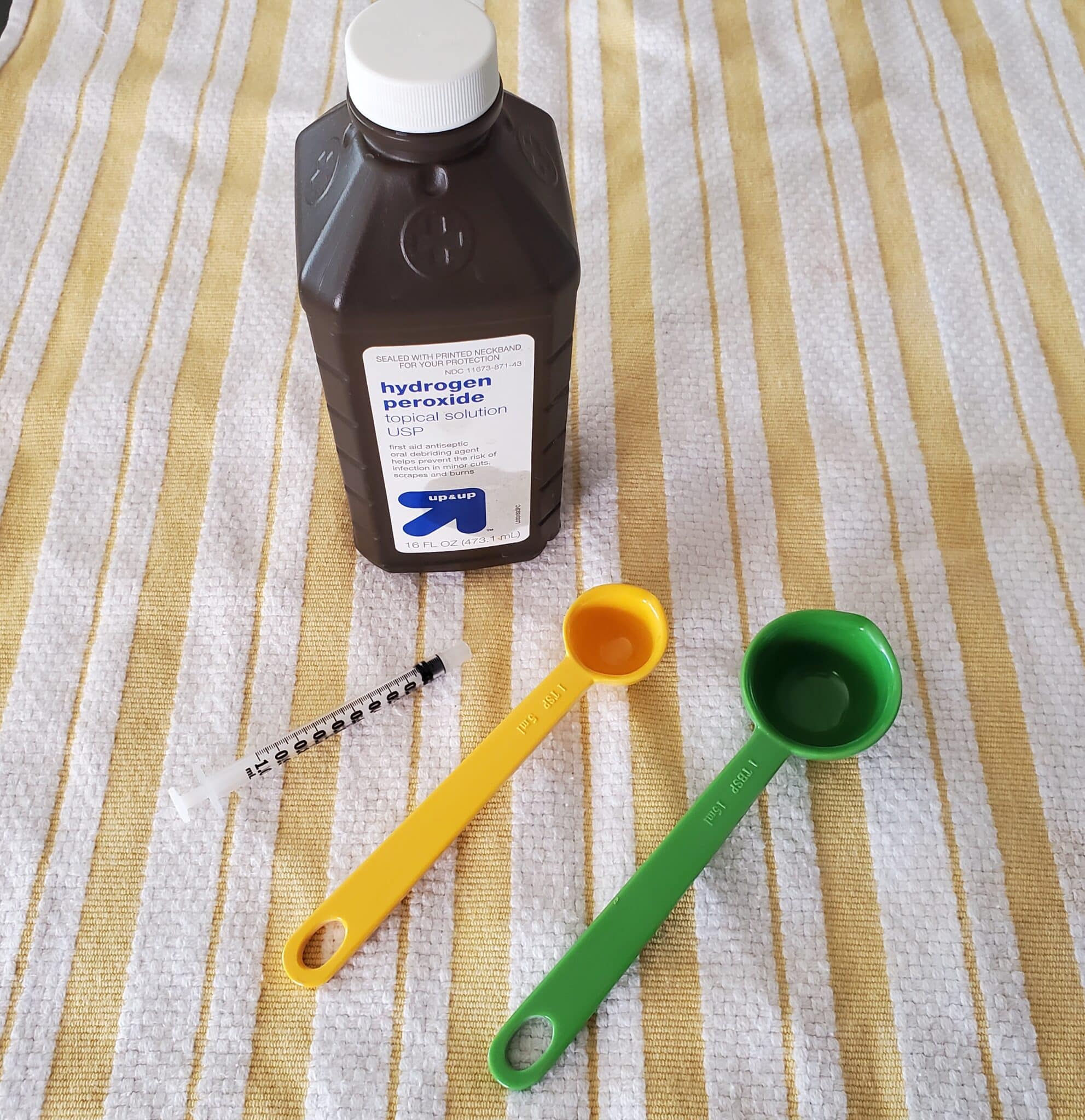 How to Make a Dog Throw Up Important Safety Tips Dogster