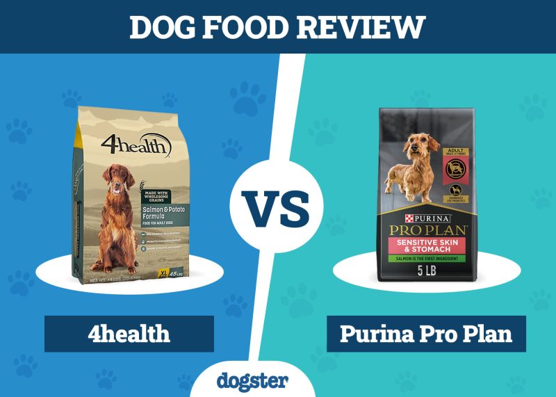 Dogster_Dog Food 4health vs Purina Pro Plan