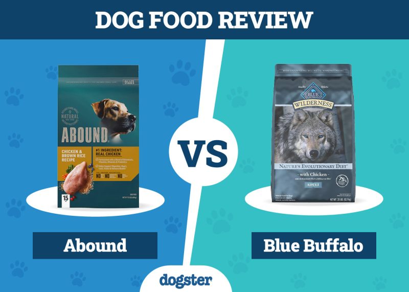 Dogster_Dog Food Abound VS Blue Buffalo
