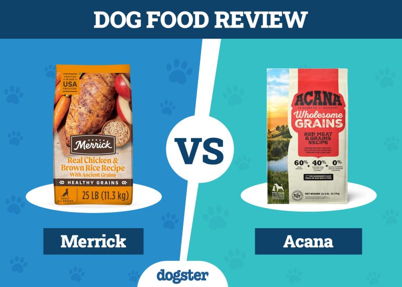 Dogster_Dog Food Merrick VS Acana