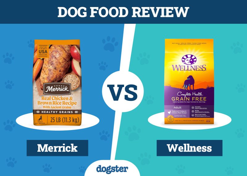 Dogster_Dog Food Merrick VS Wellness