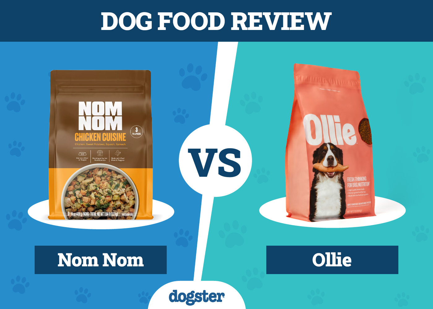 Dogster_Dog Food Nom Nom VS Ollie