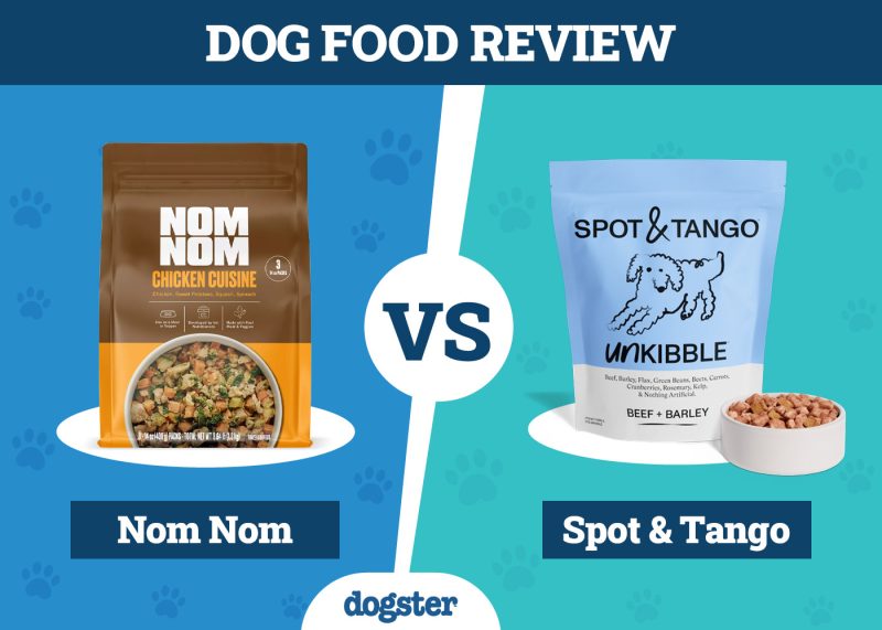 Dogster_Dog Food Nom Nom VS Spot & Tango