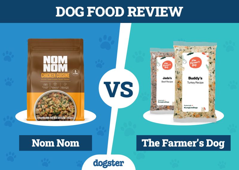 Dogster_Dog Food Nom Nom VS The Farmer_s Dog