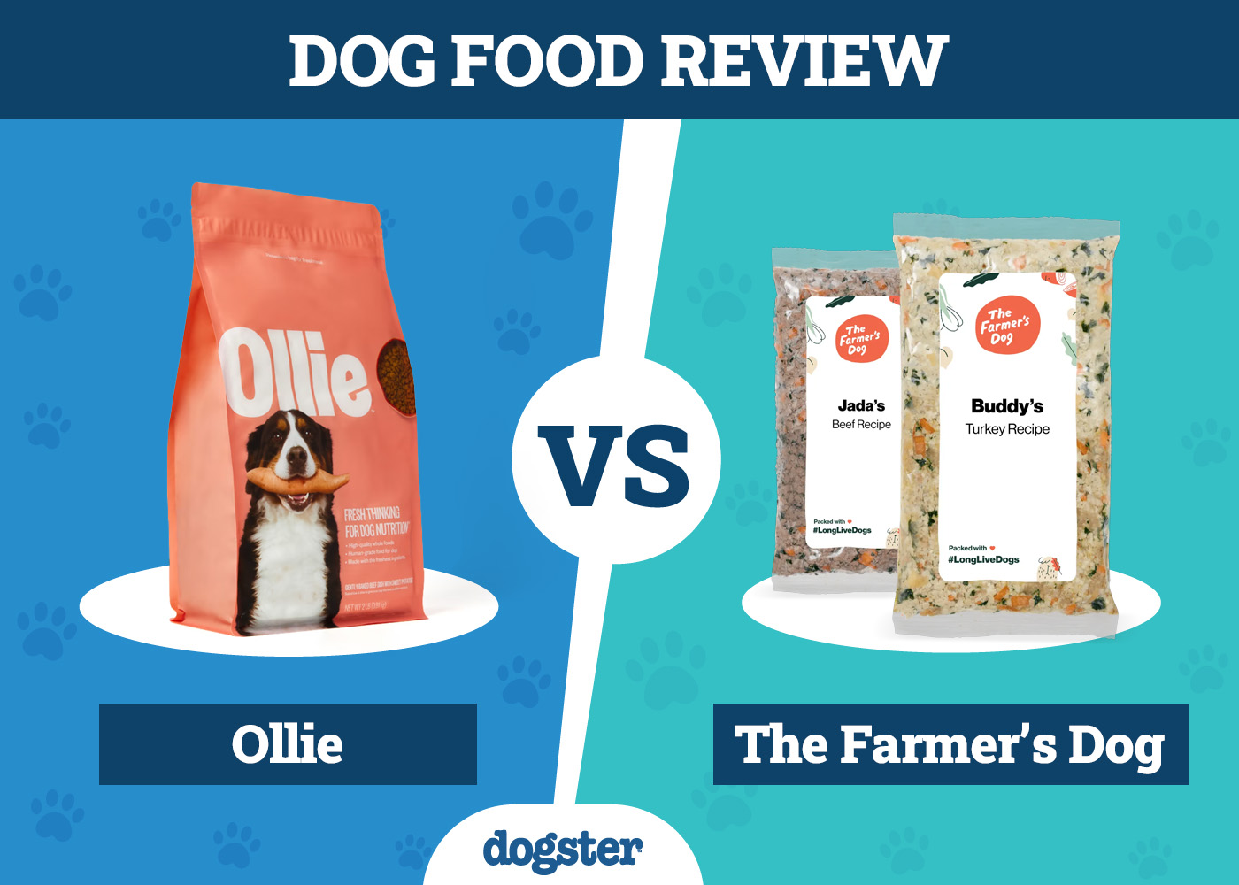 Dogster_Dog Food Ollie VS The Farmer_s Dog