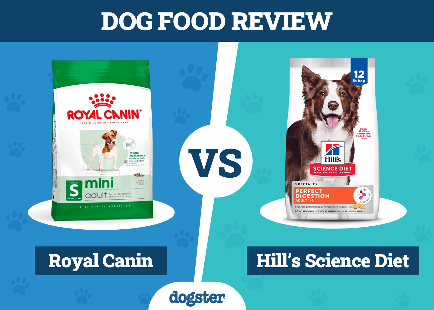 Dogster_Dog Food Royal Canin vs Hill’s Science Diet