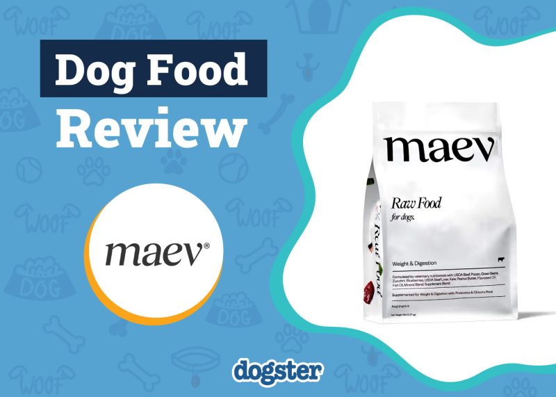 Dogster_Maev Dog Food Review