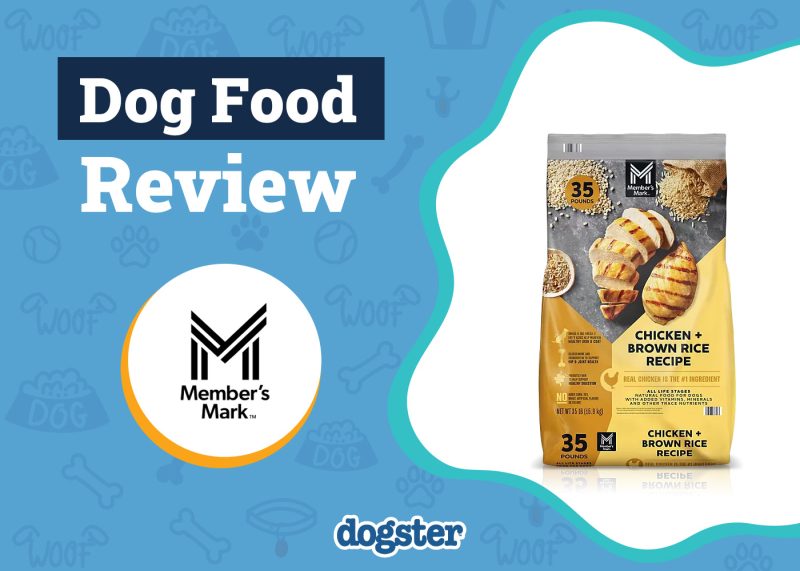 Dogster_Member’s Mark Dog Food Review
