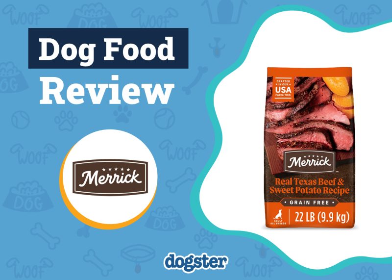 Dogster_Merrick Dog Food Review